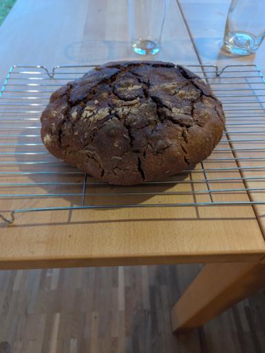 Ein frisch gebackenes rundes Brot auf einem auskühl Gitter