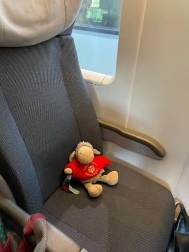 Foto des grauen Schafs auf einem ICE-Sitz